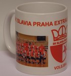 cup slavia volejbal season 2011/2011
